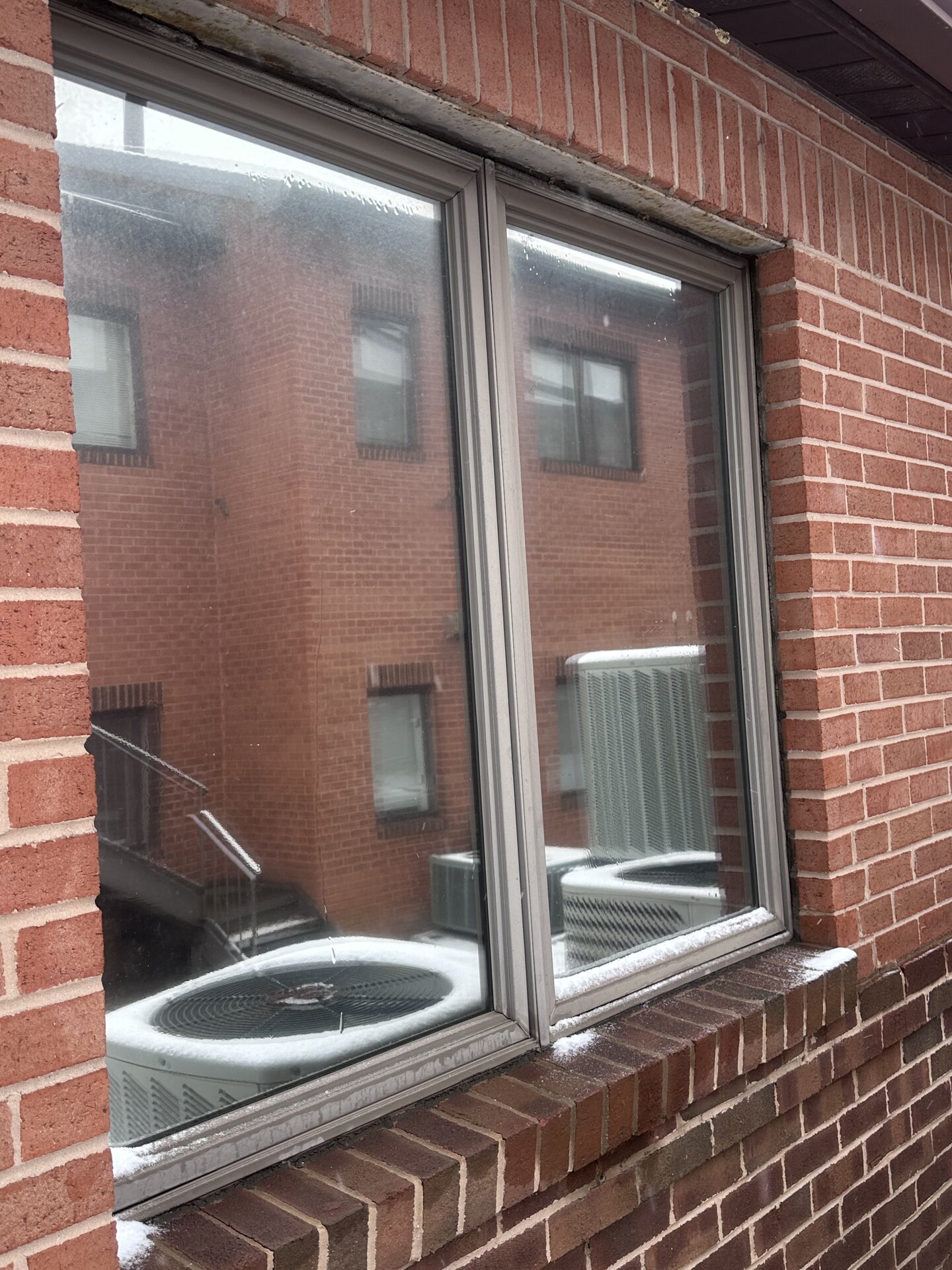 Commercial window tinting